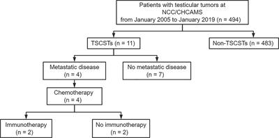 Promising Immunotherapy in Metastatic Testicular Sex Cord Stromal Tumours After First-Line Chemotherapy